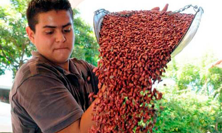 Producción nacional garantizada