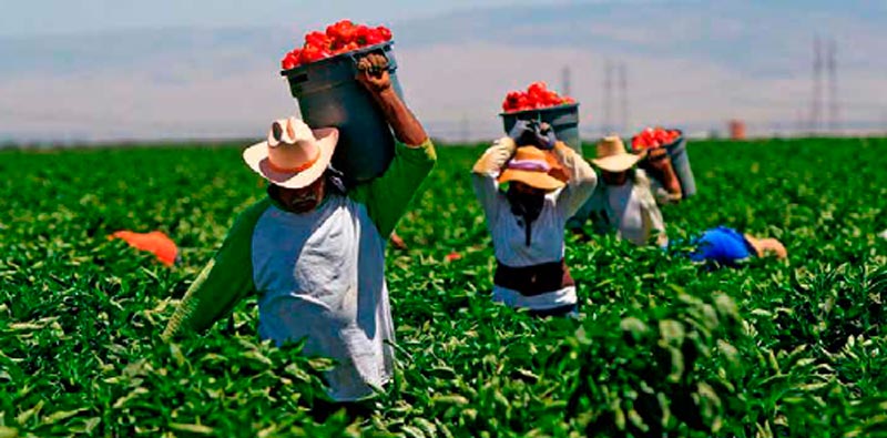 Seguridad nacional y soberanía alimentaria en Nicaragua