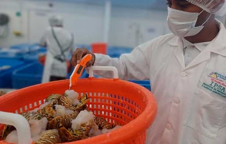Vigilancia sanitaria en la Costa Caribe